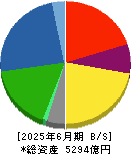 日本軽金属ホールディングス 貸借対照表 2025年6月期 日本軽金属ホールディングス 貸借対照表 2025年6月期