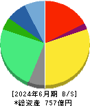 シンプレクス・ホールディングス 貸借対照表 2024年6月期