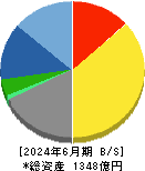 ゴールドウイン 貸借対照表 2024年6月期