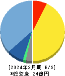 ＴＤＳＥ 貸借対照表 2024年3月期