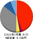 トモニホールディングス 貸借対照表 2022年3月期