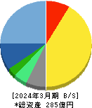 エイジス 貸借対照表 2024年3月期