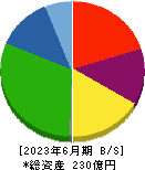 日本電解 貸借対照表 2023年6月期