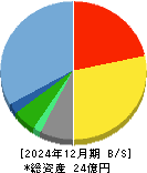 ファーストアカウンティング 貸借対照表 2024年12月期 ファーストアカウンティング 貸借対照表 2024年12月期