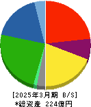 南海化学 貸借対照表 2025年3月期 南海化学 貸借対照表 2025年3月期