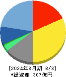 ソフトクリエイトホールディングス 貸借対照表 2024年6月期