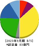 テイン 貸借対照表 2023年9月期