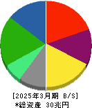 日本電信電話 貸借対照表 2025年3月期 日本電信電話 貸借対照表 2025年3月期