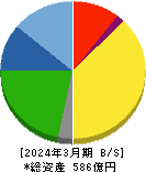 ステラケミファ 貸借対照表 2024年3月期