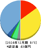 コーチ・エィ 貸借対照表 2024年12月期 コーチ・エィ 貸借対照表 2024年12月期