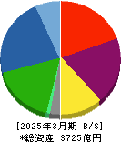 MIRARTHホールディングス 貸借対照表 2025年3月期 MIRARTHホールディングス 貸借対照表 2025年3月期