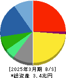 第一三共 貸借対照表 2025年3月期 第一三共 貸借対照表 2025年3月期