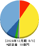 キットアライブ 貸借対照表 2024年12月期 キットアライブ 貸借対照表 2024年12月期