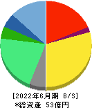 日本情報クリエイト 貸借対照表 2022年6月期