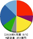 アライドテレシスホールディングス 貸借対照表 2024年6月期