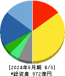 ＷＯＷＯＷ 貸借対照表 2024年6月期