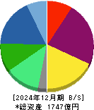 ツバキ・ナカシマ 貸借対照表 2024年12月期 ツバキ・ナカシマ 貸借対照表 2024年12月期