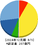 ミズホメディー 貸借対照表 2024年12月期 ミズホメディー 貸借対照表 2024年12月期