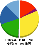 大研医器 貸借対照表 2024年6月期