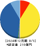 マーキュリアホールディングス 貸借対照表 2024年12月期 マーキュリアホールディングス 貸借対照表 2024年12月期