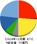 ソフトマックス 貸借対照表 2024年12月期 ソフトマックス 貸借対照表 2024年12月期