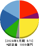 ダイハツディーゼル 貸借対照表 2024年6月期