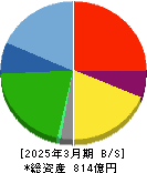 さくらインターネット 貸借対照表 2025年3月期 さくらインターネット 貸借対照表 2025年3月期