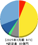 ディジタルメディアプロフェッショナル 貸借対照表 2025年3月期 ディジタルメディアプロフェッショナル 貸借対照表 2025年3月期