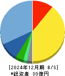 eWeLL 貸借対照表 2024年12月期 eWeLL 貸借対照表 2024年12月期