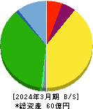 エコナックホールディングス 貸借対照表 2024年3月期