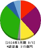 サンウェルズ 貸借対照表 2024年3月期