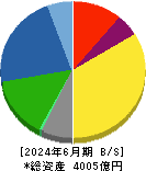 スカパーＪＳＡＴホールディングス 貸借対照表 2024年6月期