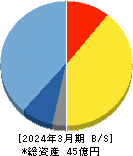 ジーダット 貸借対照表 2024年3月期