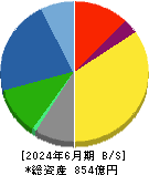 テイカ 貸借対照表 2024年6月期