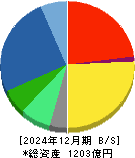 三井松島ホールディングス 貸借対照表 2024年12月期 三井松島ホールディングス 貸借対照表 2024年12月期