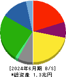 太平洋セメント 貸借対照表 2024年6月期