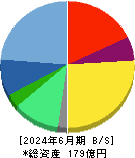 ＧＭＯグローバルサイン・ホールディングス 貸借対照表 2024年6月期