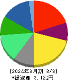 キリンホールディングス 貸借対照表 2024年6月期