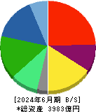 サンケン電気 貸借対照表 2024年6月期