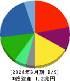 帝人 貸借対照表 2024年6月期