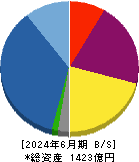 レーサム 貸借対照表 2024年6月期