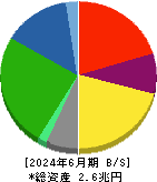 王子ホールディングス 貸借対照表 2024年6月期