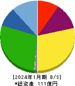 日本スキー場開発 貸借対照表 2024年1月期