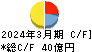 ダイヤモンドエレクトリックホールディングス キャッシュフロー計算書 2024年3月期