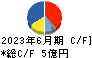 テイン キャッシュフロー計算書 2023年6月期