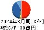 新日本理化 キャッシュフロー計算書 2024年3月期