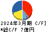 テイン キャッシュフロー計算書 2024年3月期